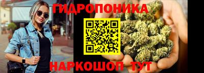 apvp Ставрополь