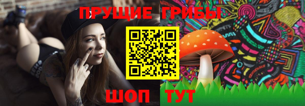 Псилоцибиновые грибы мухоморы Ногинск